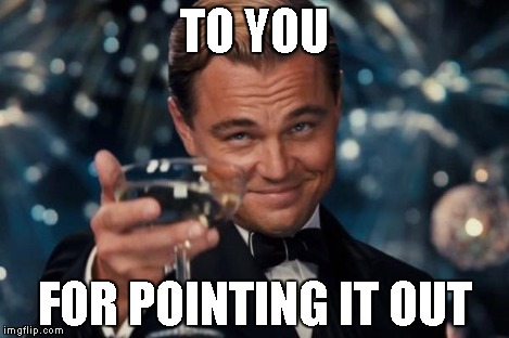 Leonardo Dicaprio Cheers Meme | TO YOU FOR POINTING IT OUT | image tagged in memes,leonardo dicaprio cheers | made w/ Imgflip meme maker