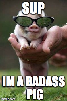 SUP IM A BADASS PIG | image tagged in badass pig | made w/ Imgflip meme maker