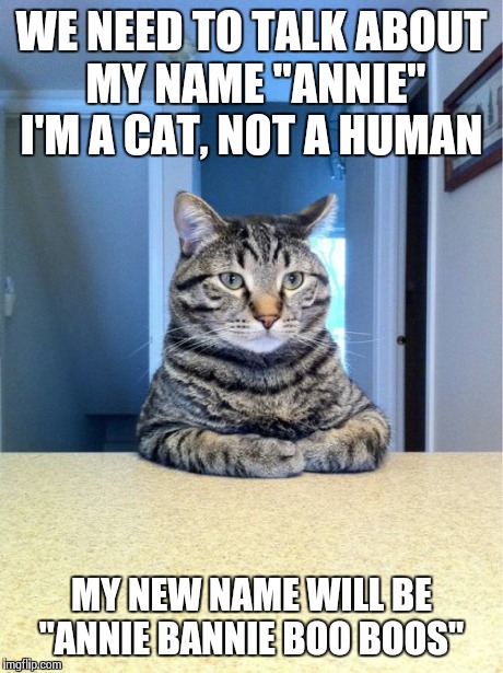 Can we compromise on just Annie Bannie? | WE NEED TO TALK ABOUT MY NAME "ANNIE" I'M A CAT, NOT A HUMAN MY NEW NAME WILL BE "ANNIE BANNIE BOO BOOS" | image tagged in memes,take a seat cat | made w/ Imgflip meme maker