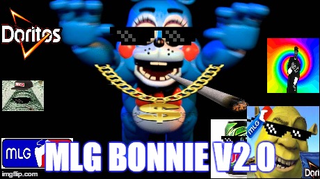 mlg bonnie | MLG BONNIE V2.0 | image tagged in mlg,rekt,420,bonnie bunny,fnaf | made w/ Imgflip meme maker