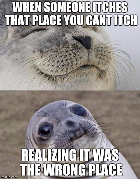 Short Satisfaction VS Truth Meme | WHEN SOMEONE ITCHES THAT PLACE YOU CANT ITCH REALIZING IT WAS THE WRONG PLACE | image tagged in short satisfaction vs truth | made w/ Imgflip meme maker