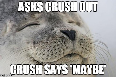 Satisfied Seal | ASKS CRUSH OUT CRUSH SAYS 'MAYBE' | image tagged in memes,satisfied seal | made w/ Imgflip meme maker