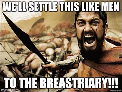 300 gladiator | WE'LL SETTLE THIS LIKE MEN TO THE BREASTRIARY!!! | image tagged in 300 gladiator | made w/ Imgflip meme maker
