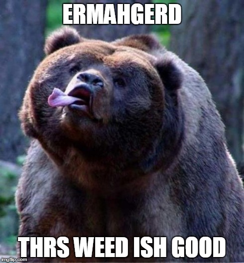 Derpy Bear | ERMAHGERD THRS WEED ISH GOOD | image tagged in derpy bear,weed | made w/ Imgflip meme maker