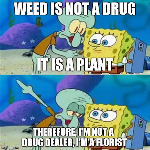 Talk To Spongebob | WEED IS NOT A DRUG THEREFORE, I'M NOT A DRUG DEALER, I'M A FLORIST IT IS A PLANT | image tagged in memes,talk to spongebob | made w/ Imgflip meme maker