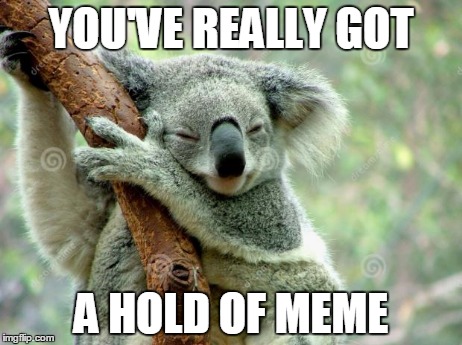 Hold tight | YOU'VE REALLY GOT A HOLD OF MEME | image tagged in hold tight | made w/ Imgflip meme maker