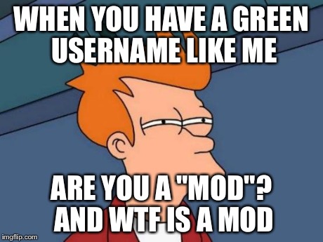Futurama Fry Meme | WHEN YOU HAVE A GREEN USERNAME LIKE ME ARE YOU A "MOD"? AND WTF IS A MOD | image tagged in memes,futurama fry | made w/ Imgflip meme maker