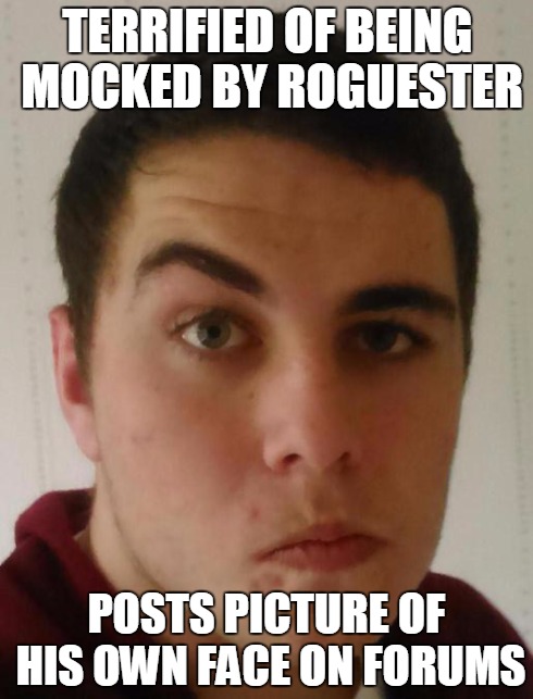 TERRIFIED OF BEING MOCKED BY ROGUESTER POSTS PICTURE OF HIS OWN FACE ON FORUMS | image tagged in silly | made w/ Imgflip meme maker