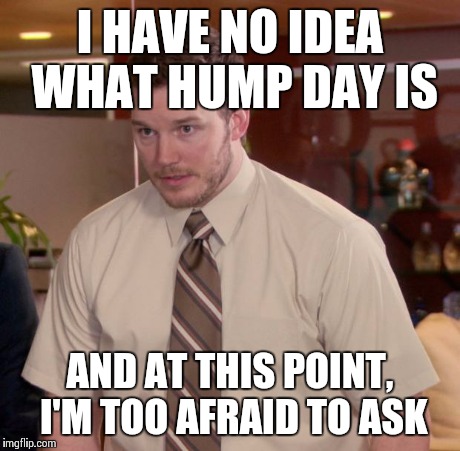 Seriously though, what the hell is it? | I HAVE NO IDEA WHAT HUMP DAY IS AND AT THIS POINT, I'M TOO AFRAID TO ASK | image tagged in memes,afraid to ask andy | made w/ Imgflip meme maker