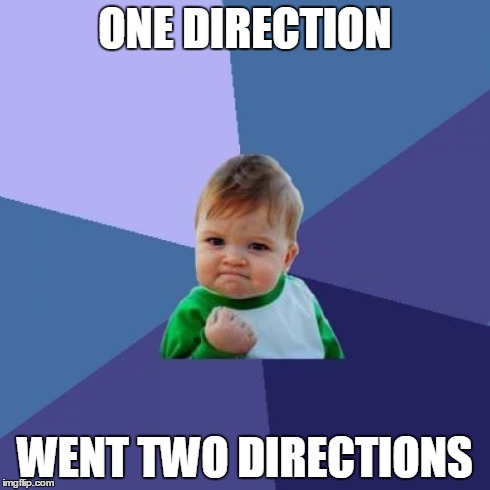 Success Kid | ONE DIRECTION WENT TWO DIRECTIONS | image tagged in memes,success kid | made w/ Imgflip meme maker