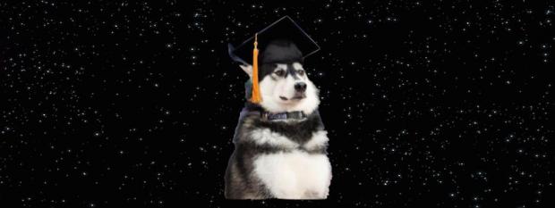 Space Graduation Dog Blank Meme Template
