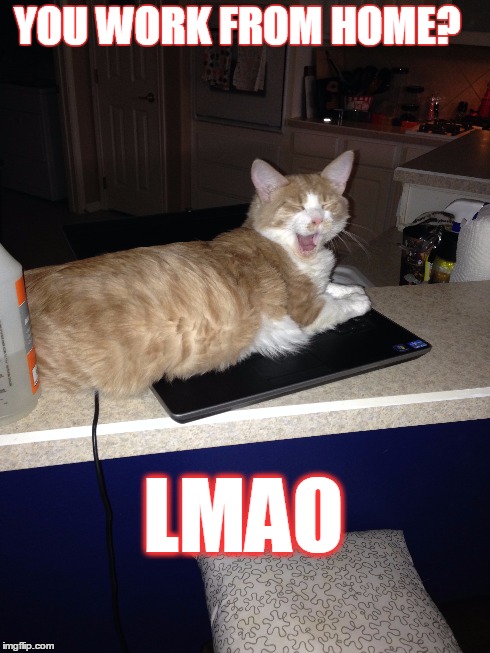 Work from home | YOU WORK FROM HOME? LMAO | made w/ Imgflip meme maker