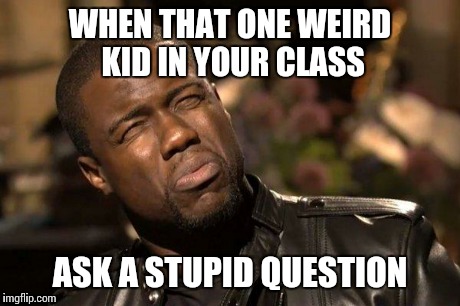 stupid | WHEN THAT ONE WEIRD KID IN YOUR CLASS ASK A STUPID QUESTION | image tagged in stupid | made w/ Imgflip meme maker