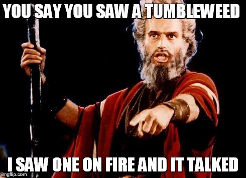 Angry Old Moses | YOU SAY YOU SAW A TUMBLEWEED I SAW ONE ON FIRE AND IT TALKED | image tagged in angry old moses | made w/ Imgflip meme maker