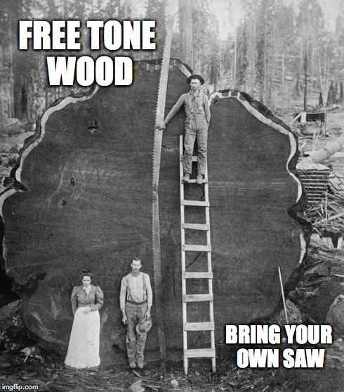 redwood logger | FREE TONE WOOD BRING YOUR OWN SAW | image tagged in redwood logger | made w/ Imgflip meme maker