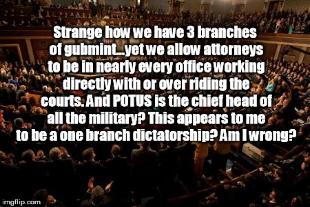 Strange how we have 3 branches of gubmint...yet we allow attorneys to be in nearly every office working directly with or over riding the cou | image tagged in congress,politics | made w/ Imgflip meme maker