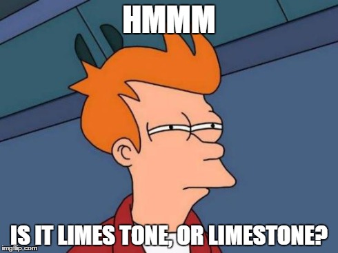 Futurama Fry Meme | HMMM IS IT LIMES TONE, OR LIMESTONE? | image tagged in memes,futurama fry | made w/ Imgflip meme maker