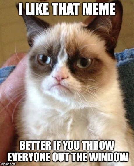 Grumpy Cat Meme | I LIKE THAT MEME BETTER IF YOU THROW EVERYONE OUT THE WINDOW | image tagged in memes,grumpy cat | made w/ Imgflip meme maker