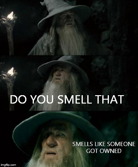 Confused Gandalf Meme | DO YOU SMELL THAT SMELLS LIKE SOMEONE GOT OWNED | image tagged in memes,confused gandalf | made w/ Imgflip meme maker