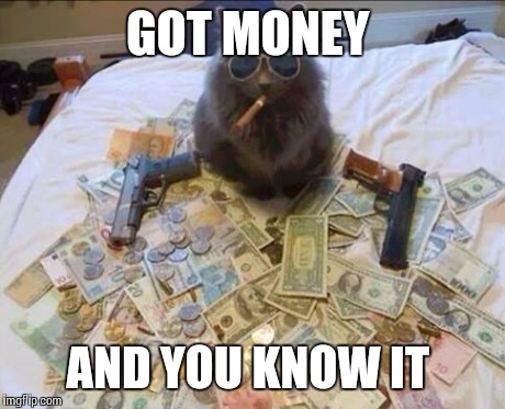 gangsta-kitty | GOT MONEY AND YOU KNOW IT | image tagged in gangsta-kitty | made w/ Imgflip meme maker