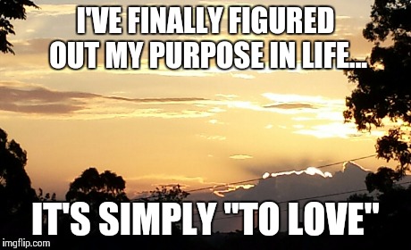 Life's purpose  | I'VE FINALLY FIGURED OUT MY PURPOSE IN LIFE... IT'S SIMPLY "TO LOVE" | image tagged in original meme | made w/ Imgflip meme maker