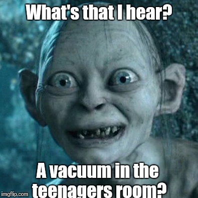 Gollum Meme | What's that I hear? A vacuum in the teenagers room? | image tagged in memes,gollum | made w/ Imgflip meme maker