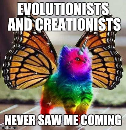 Credit goes to TERESSALAYMAN for the template. | EVOLUTIONISTS AND CREATIONISTS NEVER SAW ME COMING | image tagged in rainbow unicorn butterfly kitten | made w/ Imgflip meme maker