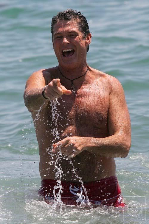 laughing-hasselhoff Blank Meme Template