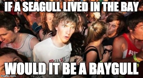 Sudden Clarity Clarence Meme | IF A SEAGULL LIVED IN THE BAY WOULD IT BE A BAYGULL | image tagged in memes,sudden clarity clarence | made w/ Imgflip meme maker