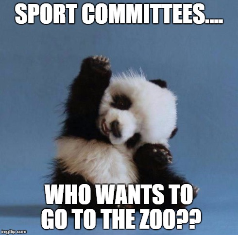 Panda | SPORT COMMITTEES.... WHO WANTS TO GO TO THE ZOO?? | image tagged in panda | made w/ Imgflip meme maker