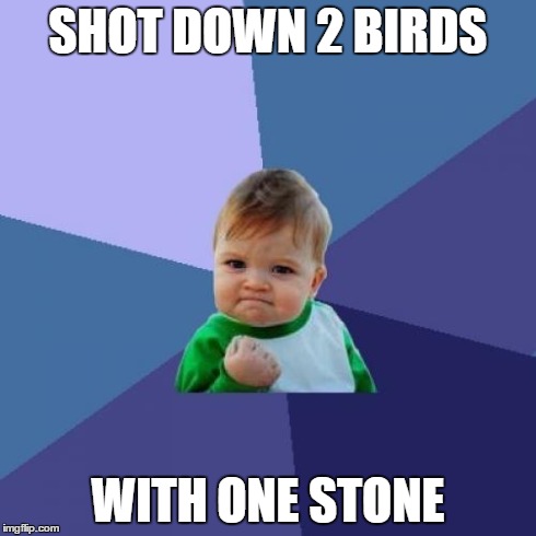 Success Kid | SHOT DOWN 2 BIRDS WITH ONE STONE | image tagged in memes,success kid | made w/ Imgflip meme maker