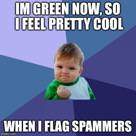 Success Kid Meme | IM GREEN NOW, SO I FEEL PRETTY COOL WHEN I FLAG SPAMMERS | image tagged in memes,success kid | made w/ Imgflip meme maker