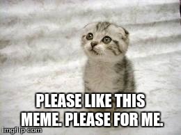 Sad Cat | PLEASE LIKE THIS MEME. PLEASE FOR ME. | image tagged in memes,sad cat | made w/ Imgflip meme maker