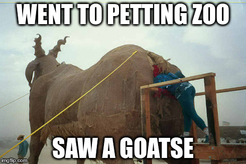 goatse | WENT TO PETTING ZOO SAW A GOATSE | image tagged in goat,goatse,petting zoo | made w/ Imgflip meme maker