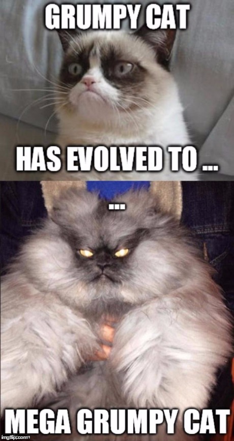 Grumpy cat Evoled | image tagged in grumpy cat,cool,funny,funny memes | made w/ Imgflip meme maker