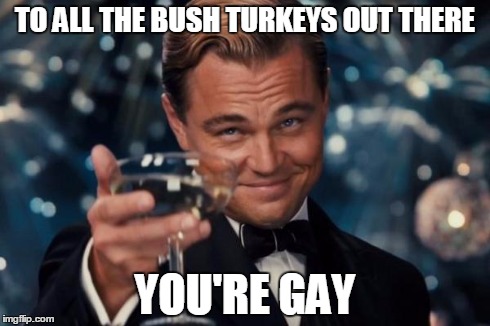 Leonardo Dicaprio Cheers Meme | TO ALL THE BUSH TURKEYS OUT THERE YOU'RE GAY | image tagged in memes,leonardo dicaprio cheers | made w/ Imgflip meme maker