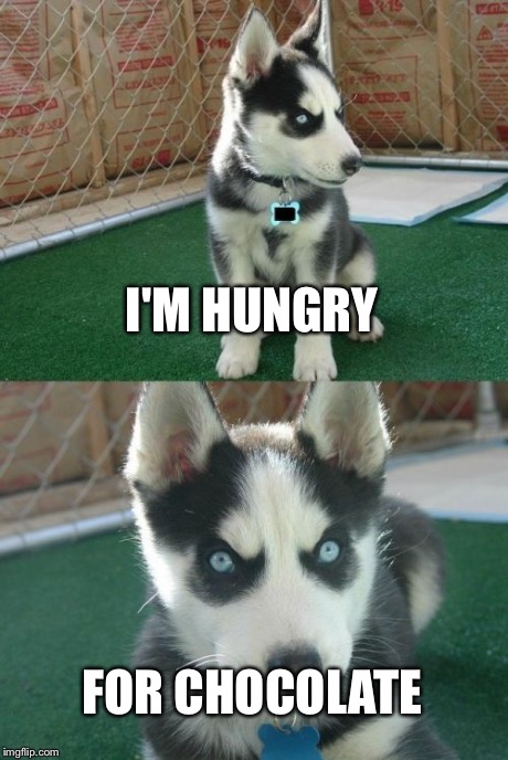 Insanity Puppy | I'M HUNGRY FOR CHOCOLATE | image tagged in memes,insanity puppy | made w/ Imgflip meme maker