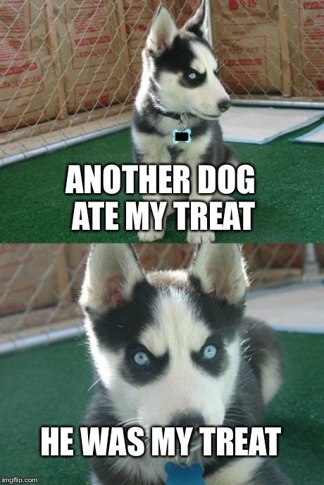 Insanity Puppy | ANOTHER DOG ATE MY TREAT HE WAS MY TREAT | image tagged in memes,insanity puppy | made w/ Imgflip meme maker