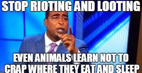 Stop rioting and looting  | STOP RIOTING AND LOOTING EVEN ANIMALS LEARN NOT TO CRAP WHERE THEY EAT AND SLEEP | image tagged in cc scolding,funny | made w/ Imgflip meme maker