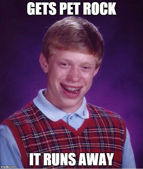 Bad Luck Brian | GETS PET ROCK IT RUNS AWAY | image tagged in memes,bad luck brian | made w/ Imgflip meme maker