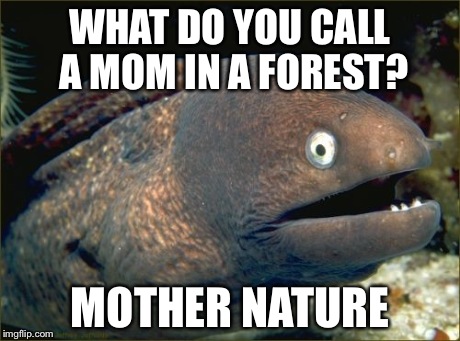 Bad Joke Eel Meme | WHAT DO YOU CALL A MOM IN A FOREST? MOTHER NATURE | image tagged in memes,bad joke eel | made w/ Imgflip meme maker