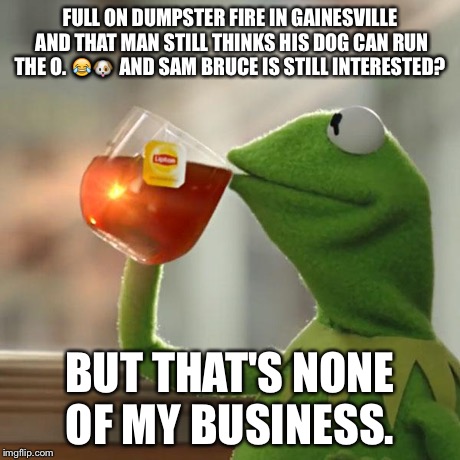 But That's None Of My Business | FULL ON DUMPSTER FIRE IN GAINESVILLE AND THAT MAN STILL THINKS HIS DOG CAN RUN THE O.  | image tagged in memes,but thats none of my business,kermit the frog | made w/ Imgflip meme maker