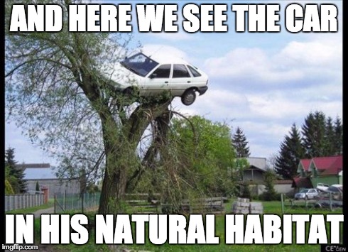 Read the meme in a British accent for full impact. | AND HERE WE SEE THE CAR IN HIS NATURAL HABITAT | image tagged in memes,secure parking | made w/ Imgflip meme maker