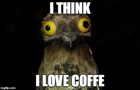Weird Stuff I Do Potoo | I THINK I LOVE COFFE | image tagged in memes,weird stuff i do potoo | made w/ Imgflip meme maker