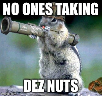Bazooka Squirrel | NO ONES TAKING DEZ NUTS | image tagged in memes,bazooka squirrel | made w/ Imgflip meme maker