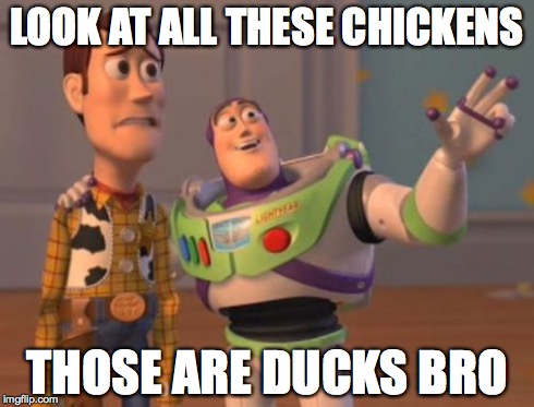 X, X Everywhere Meme | LOOK AT ALL THESE CHICKENS THOSE ARE DUCKS BRO | image tagged in memes,x x everywhere | made w/ Imgflip meme maker