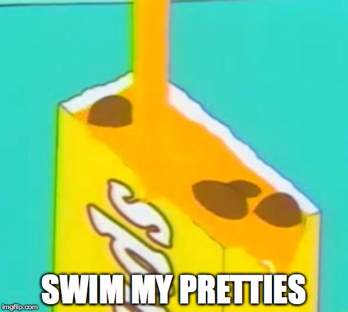 SWIM MY PRETTIES | image tagged in the simpsons,homer simpson | made w/ Imgflip meme maker