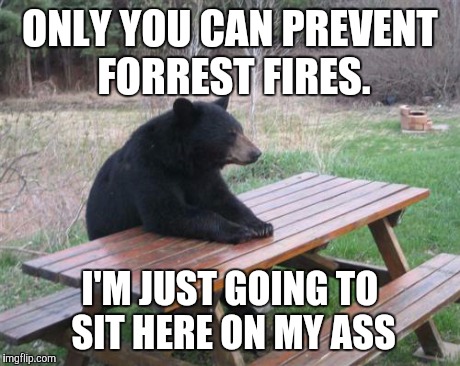 Bad Luck Bear | ONLY YOU CAN PREVENT FORREST FIRES. I'M JUST GOING TO SIT HERE ON MY ASS | image tagged in memes,bad luck bear | made w/ Imgflip meme maker