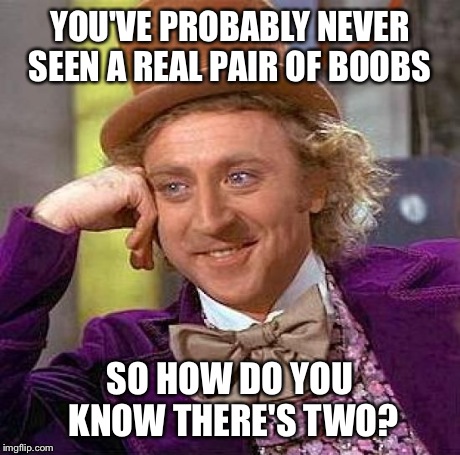 Creepy Condescending Wonka Meme | YOU'VE PROBABLY NEVER SEEN A REAL PAIR OF BOOBS SO HOW DO YOU KNOW THERE'S TWO? | image tagged in memes,creepy condescending wonka | made w/ Imgflip meme maker