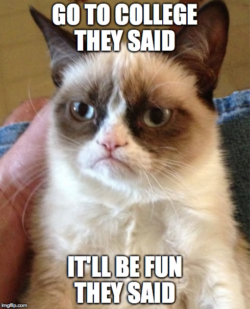 Grumpy Cat Meme | GO TO COLLEGE THEY SAID IT'LL BE FUN THEY SAID | image tagged in memes,grumpy cat | made w/ Imgflip meme maker